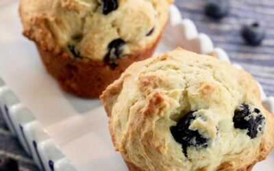 Yogurt Muffins
